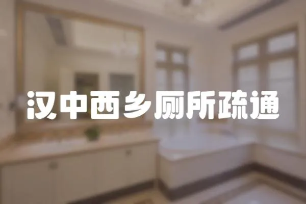 漢中西鄉廁所疏通