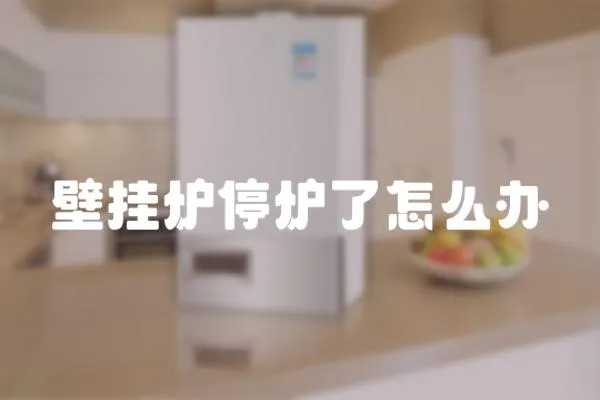 壁掛爐停爐了怎么辦