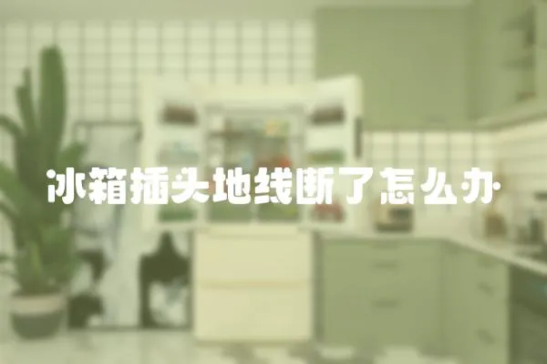 冰箱插頭地線斷了怎么辦