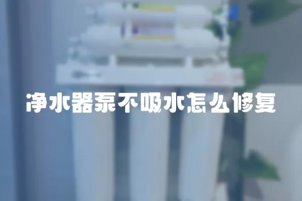 凈水器泵不吸水怎么修復