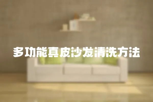 多功能真皮沙發清洗方法