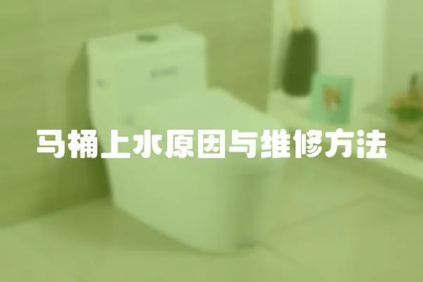 馬桶上水原因與維修方法
