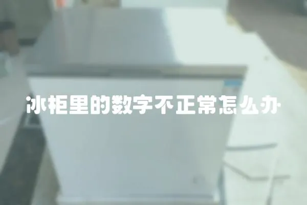 冰柜里的數字不正常怎么辦