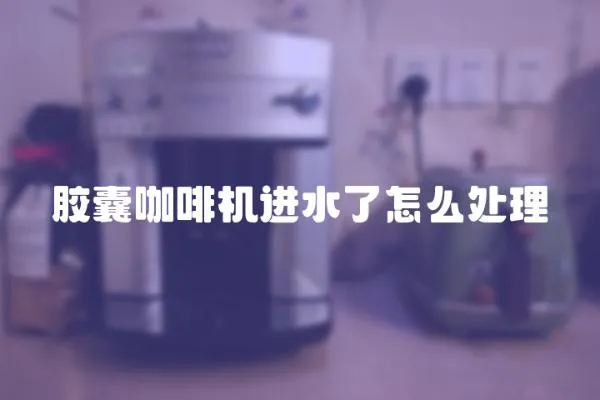 膠囊咖啡機(jī)進(jìn)水了怎么處理
