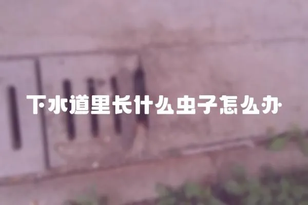 下水道里長什么蟲子怎么辦