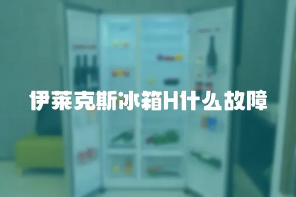 伊萊克斯冰箱H什么故障