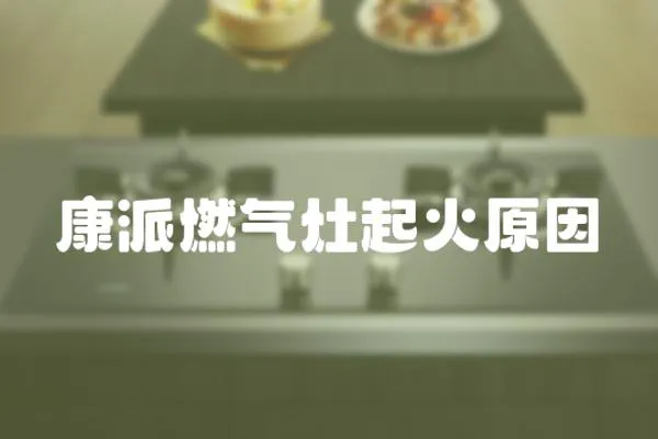 康派燃氣灶起火原因