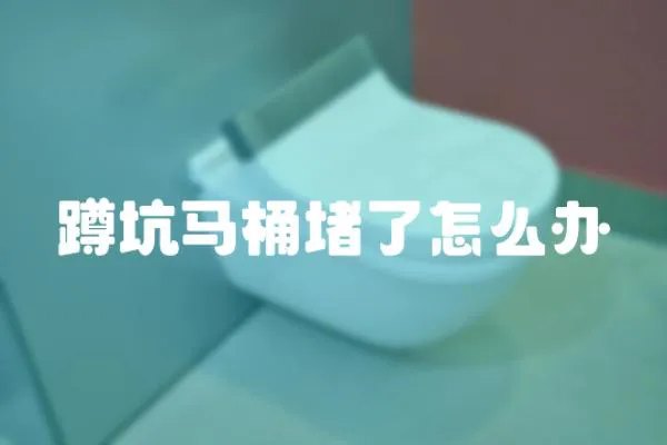 蹲坑馬桶堵了怎么辦