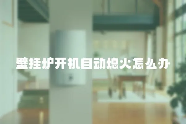 壁掛爐開機自動熄火怎么辦