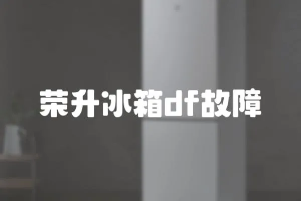 榮升冰箱df故障