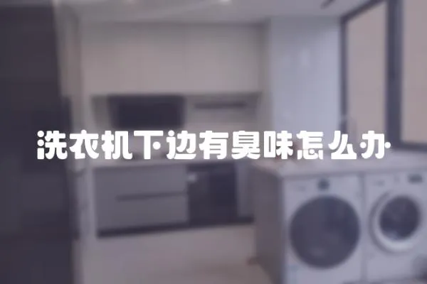 洗衣機下邊有臭味怎么辦