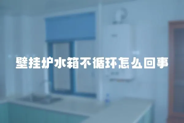壁掛爐水箱不循環(huán)怎么回事