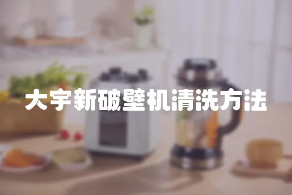 大宇新破壁機清洗方法