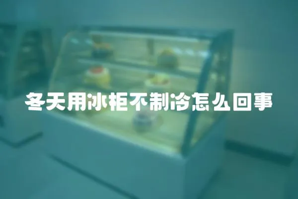 冬天用冰柜不制冷怎么回事