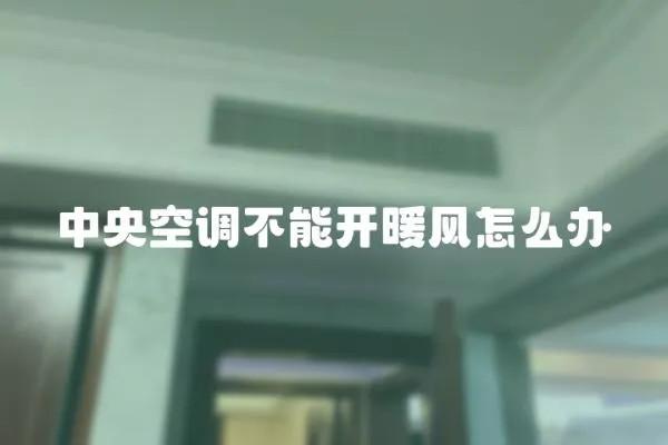 中央空調不能開暖風怎么辦