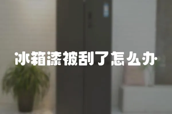 冰箱漆被刮了怎么辦