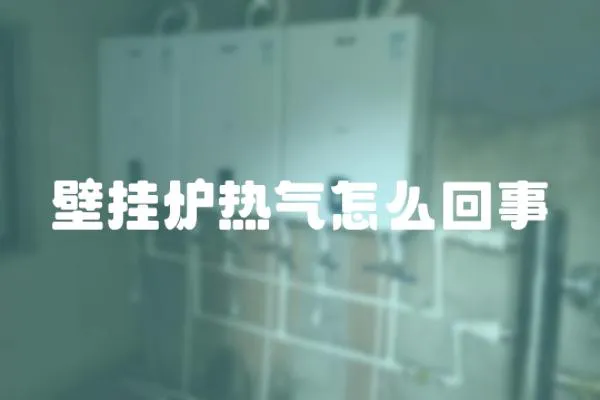 壁掛爐熱氣怎么回事