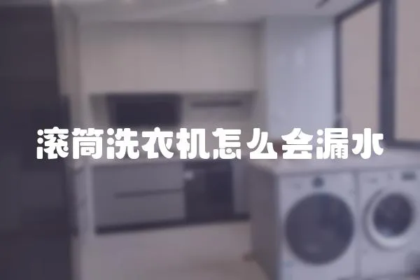 滾筒洗衣機怎么會漏水