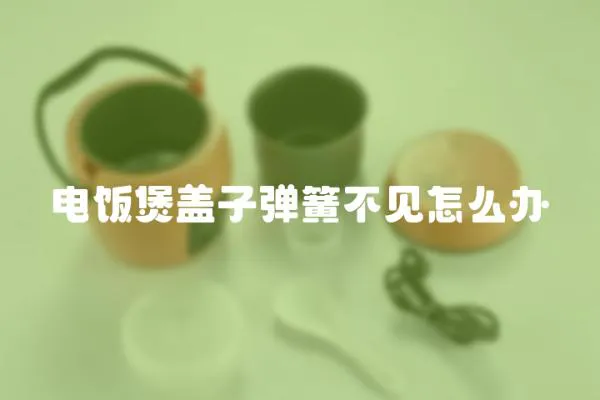 电饭煲盖子弹簧不见怎么办