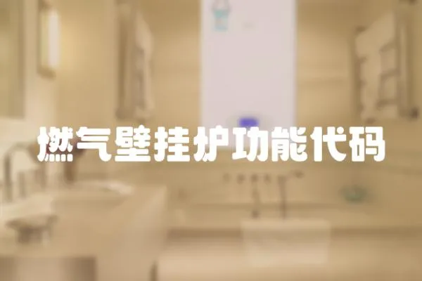 燃氣壁掛爐功能代碼