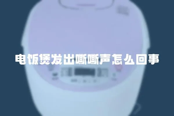 電飯煲發(fā)出嘶嘶聲怎么回事