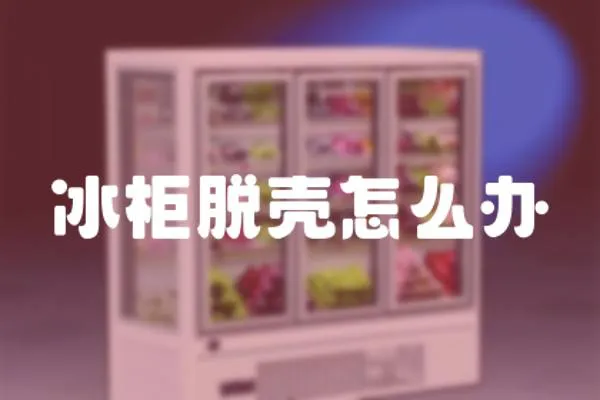 冰柜脫殼怎么辦