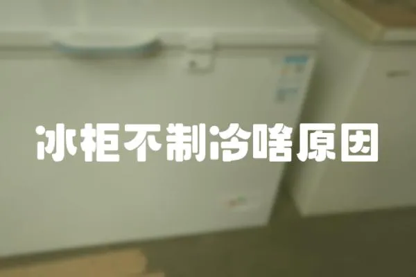 冰柜不制冷啥原因