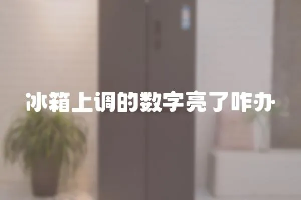 冰箱上調的數字亮了咋辦