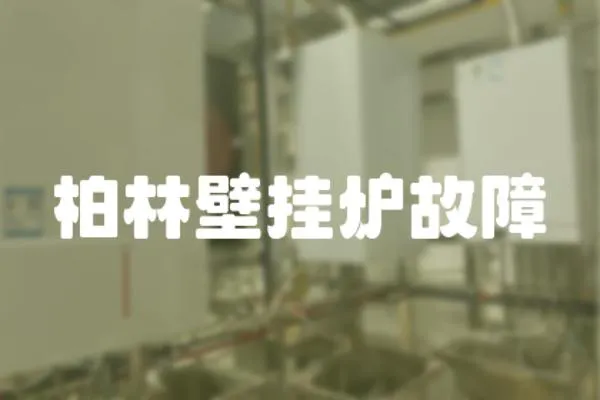 柏林壁掛爐故障