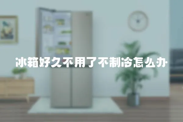 冰箱好久不用了不制冷怎么辦