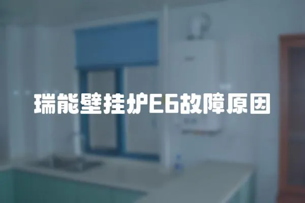 瑞能壁掛爐E6故障原因