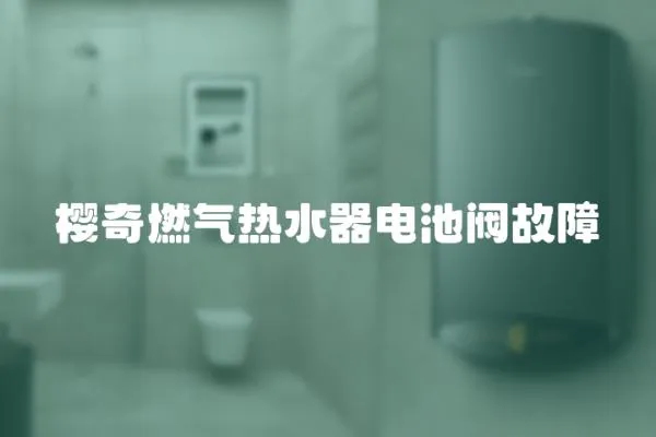 櫻奇燃氣熱水器電池閥故障