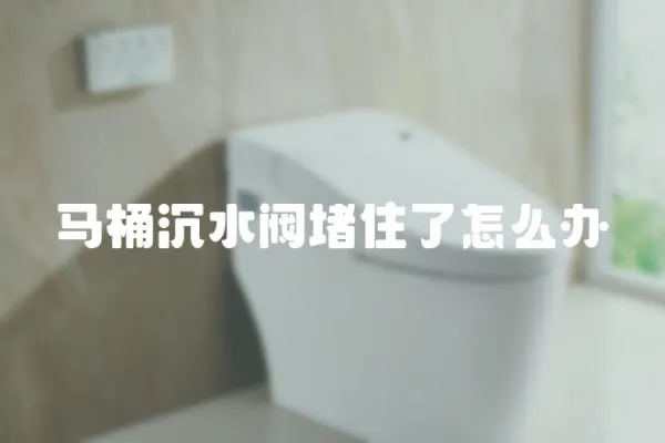 馬桶沉水閥堵住了怎么辦