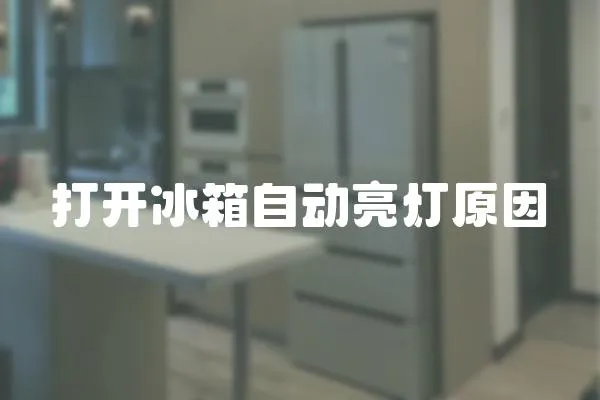打開冰箱自動亮燈原因