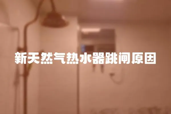 新天然氣熱水器跳閘原因