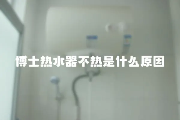 博士熱水器不熱是什么原因