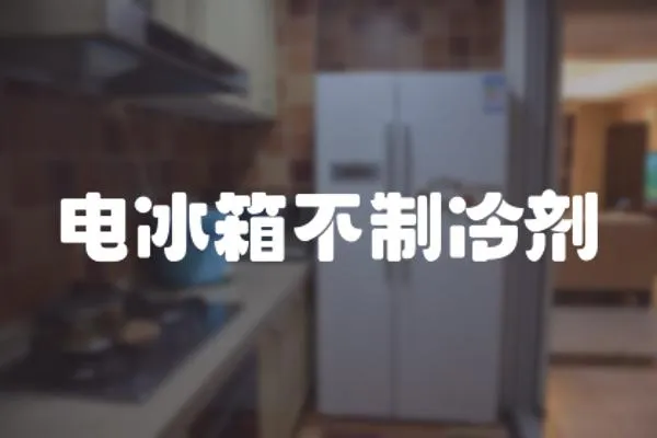 電冰箱不制冷劑