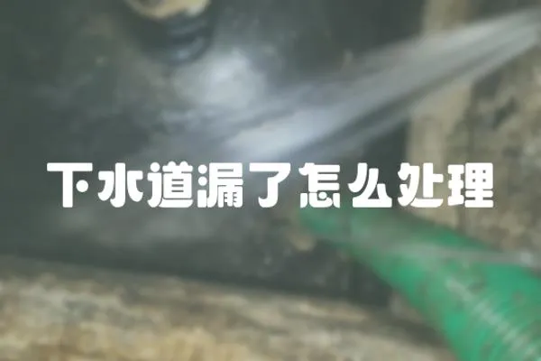 下水道漏了怎么處理