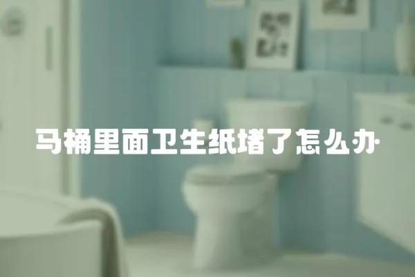 馬桶里面衛(wèi)生紙堵了怎么辦