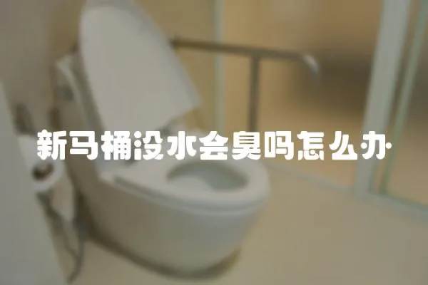 新馬桶沒水會臭嗎怎么辦
