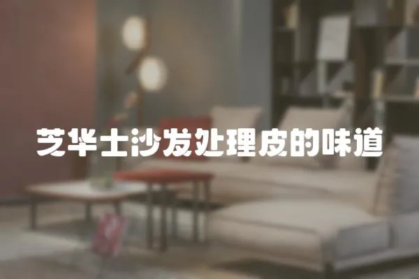 芝華士沙發處理皮的味道