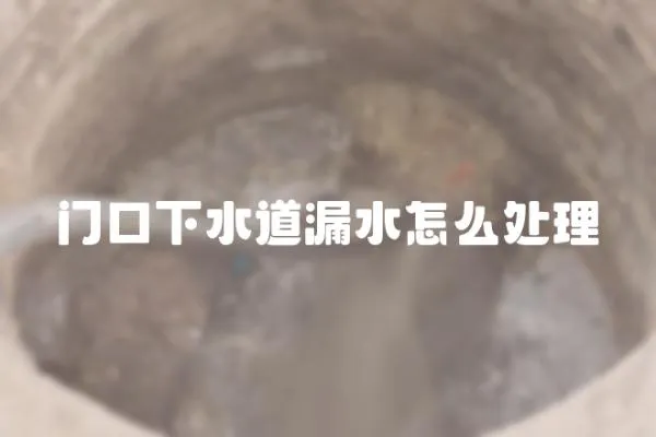 門口下水道漏水怎么處理