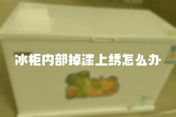 冰柜內(nèi)部掉漆上繡怎么辦