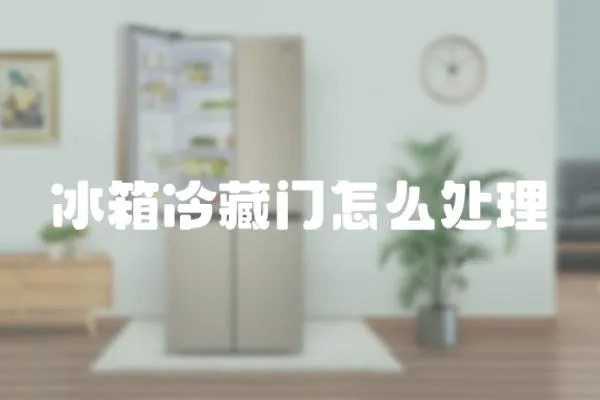 冰箱冷藏門怎么處理