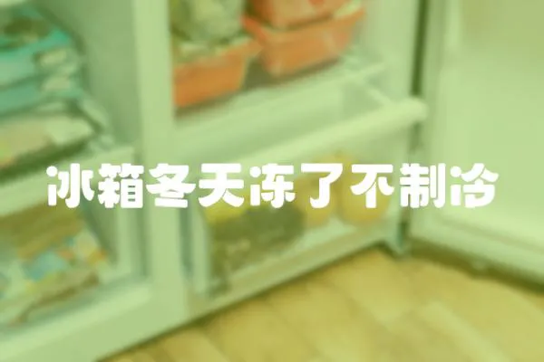 冰箱冬天凍了不制冷