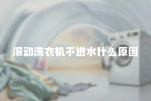 滾動洗衣機不進水什么原因