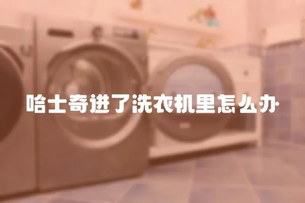 哈士奇進了洗衣機里怎么辦
