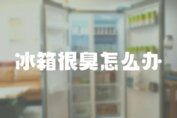 冰箱很臭怎么辦