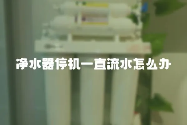 凈水器停機一直流水怎么辦
