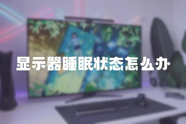 顯示器睡眠狀態(tài)怎么辦